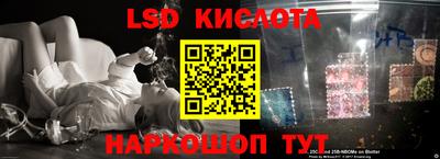 прущие грибы Ирбит