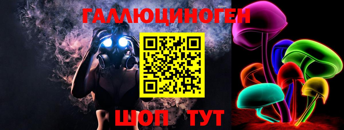 Псилоцибиновые грибы мицелий  Псилоцибиновые грибы ЛСД  Вход с VPN  Майкоп 