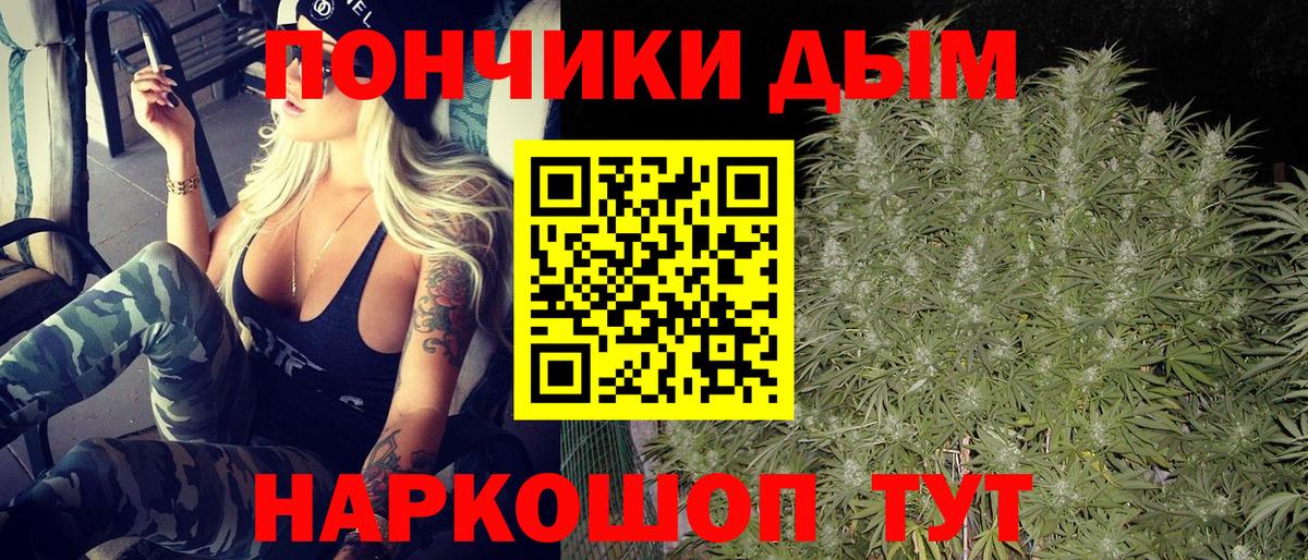 Шишки марихуана план  Каннабис планчик  Каннабис марихуана  Майкоп  Шишки марихуана планчик  Вход с VPN 